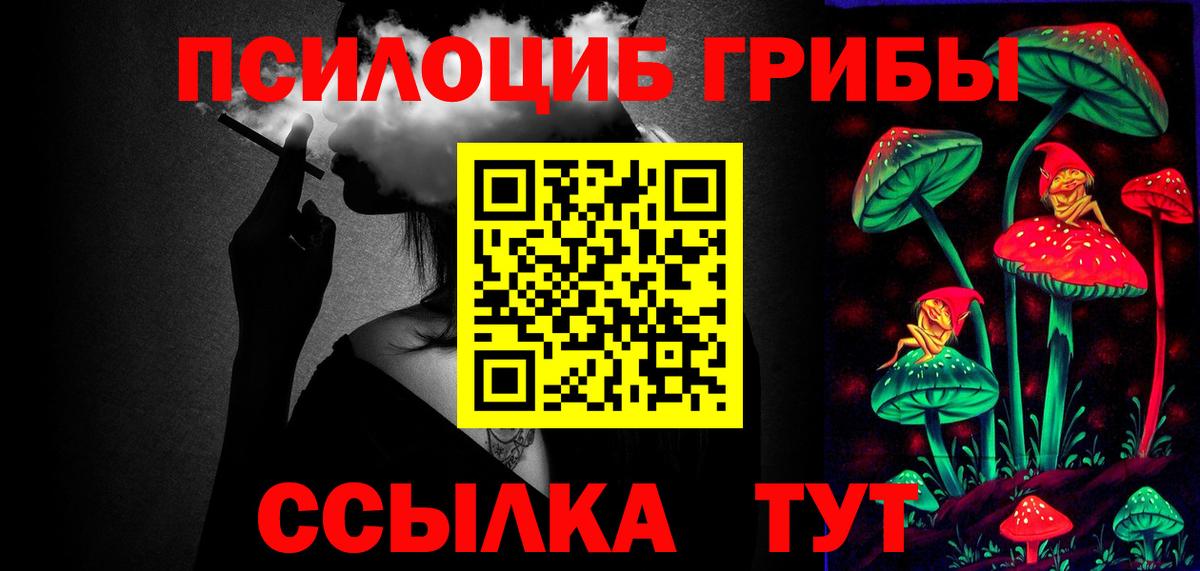 Краснознаменск  Псилоцибиновые грибы Cubensis  где купить   Вход с VPN 